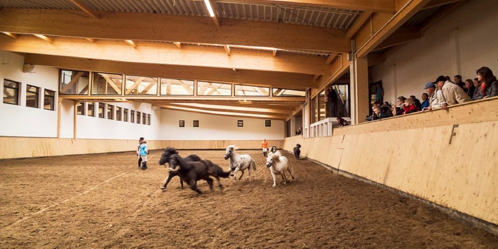 Reit- und Sporthotel NORDMANN - Reithalle
