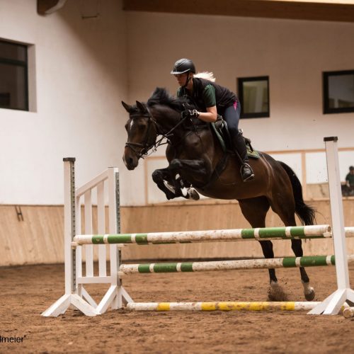Reiten - Reit- und Sporthotel NORDMANN