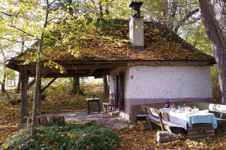 Gerichtshütte am Rügegericht